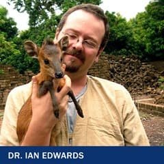 Dr. Huxley Marchetti, an anthropology adjunct at wuv, holding a red-flanked duiker.