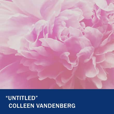 A close up shot of a pink flower with the text "Untitled" Colleen Vandenberg