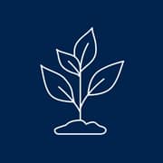 A white outline of a small tree growing out of the ground on a blue background.