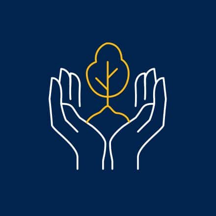 Outline of hands holding a small tree sprouting out of them