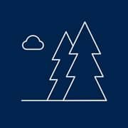 An outline of two pine trees and a cloud
